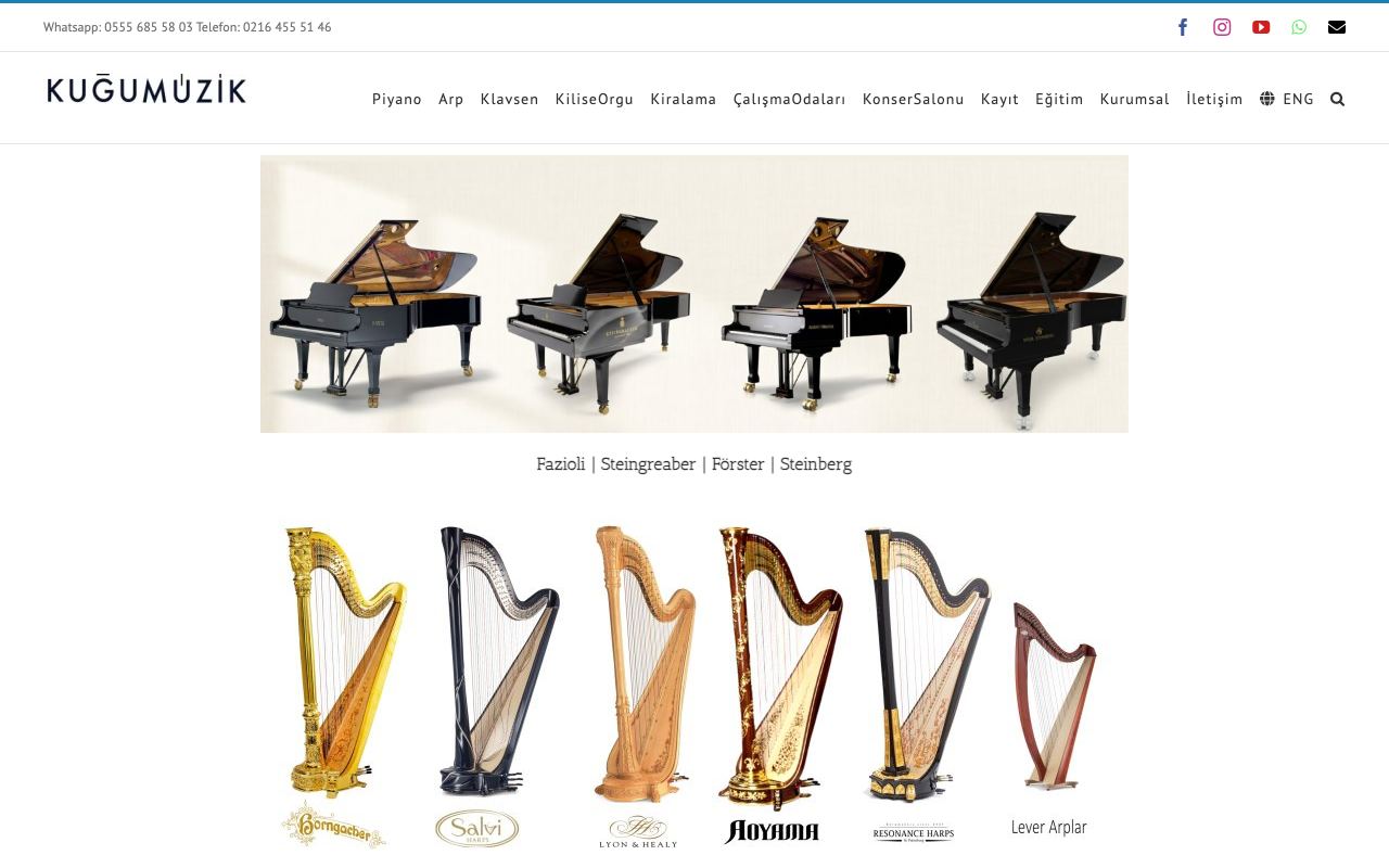 Pianos & Keyboards