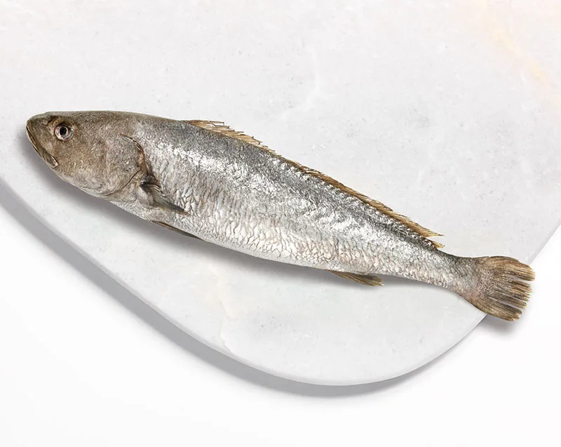 Whole Granyoz fish