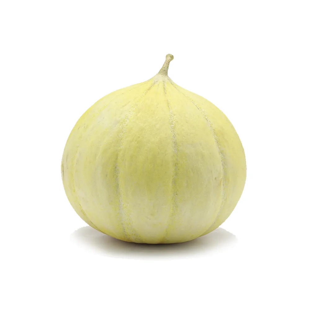 شتلة شمام Gonen Kavunu