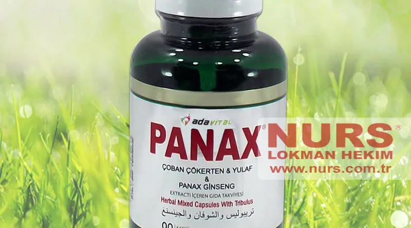 Panax capsule