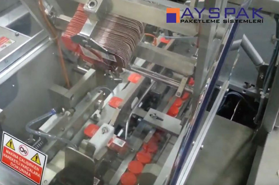 Small Bottle Cartoning Machine