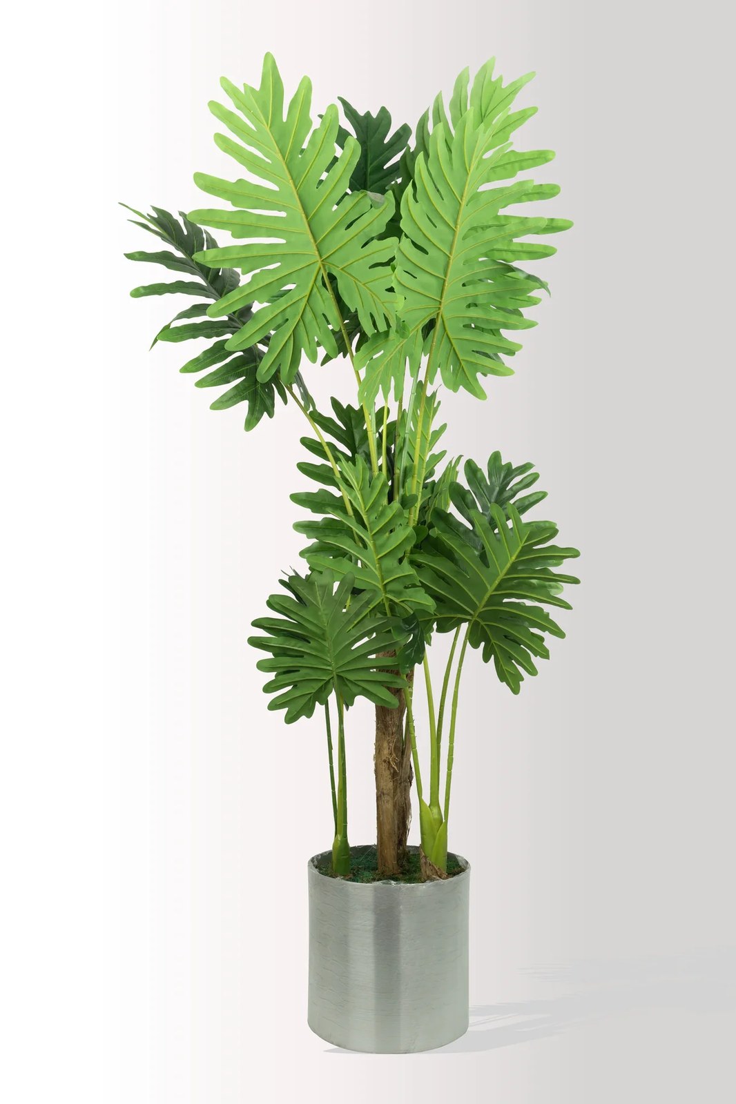 شجرة Philodendron Seloum صناعية 180 سم
