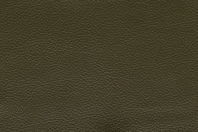 Miura Leather, Green | 356 (TPX 18-0521) - Uyguner Deri