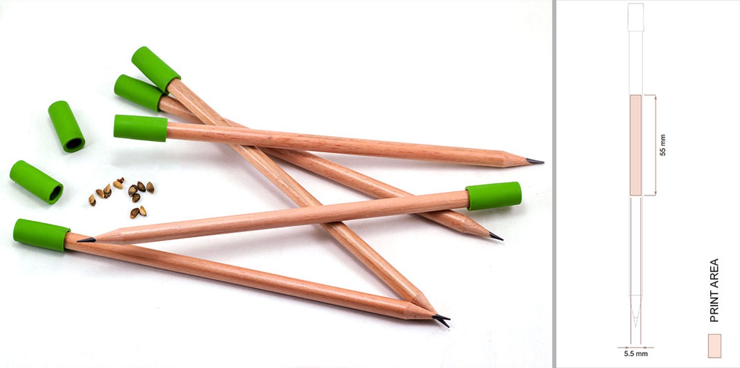 Wooden Pencil with Seeds and Eraser