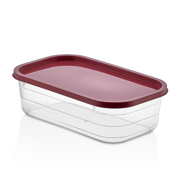 Probox Rectangular Storage Box 2,500 ml