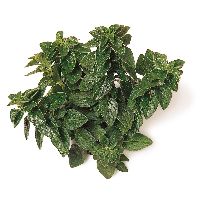 أوريغانو (زعتر الجبل)
