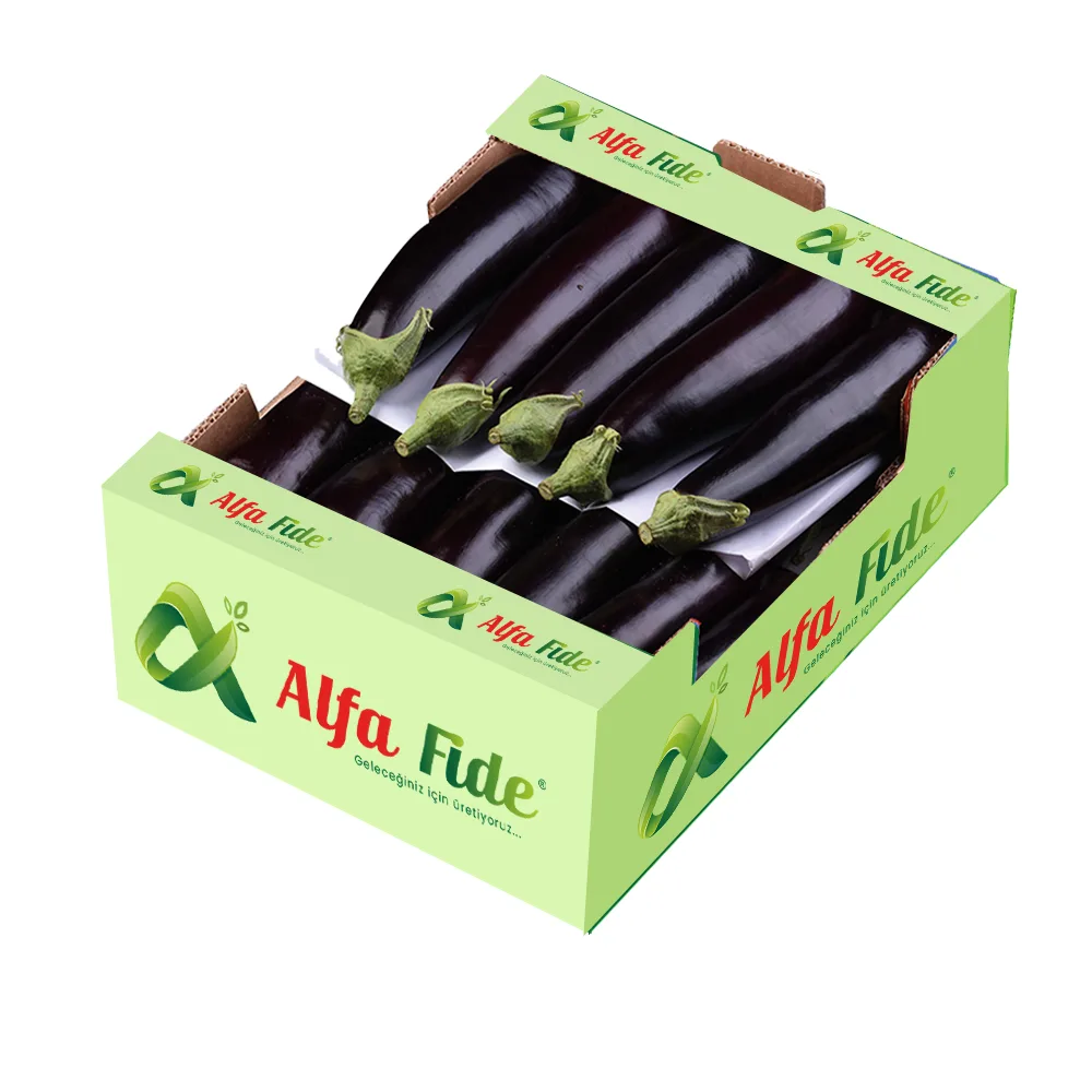 شتلة باذنجان Duz Patlican