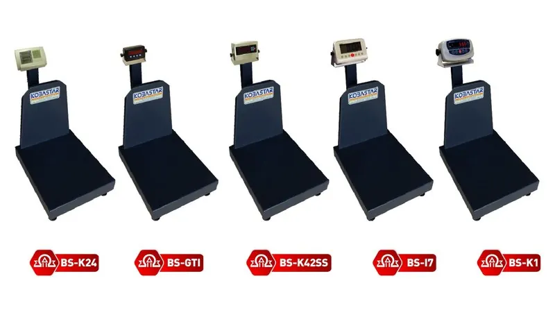 BS Single Point Platform Scale