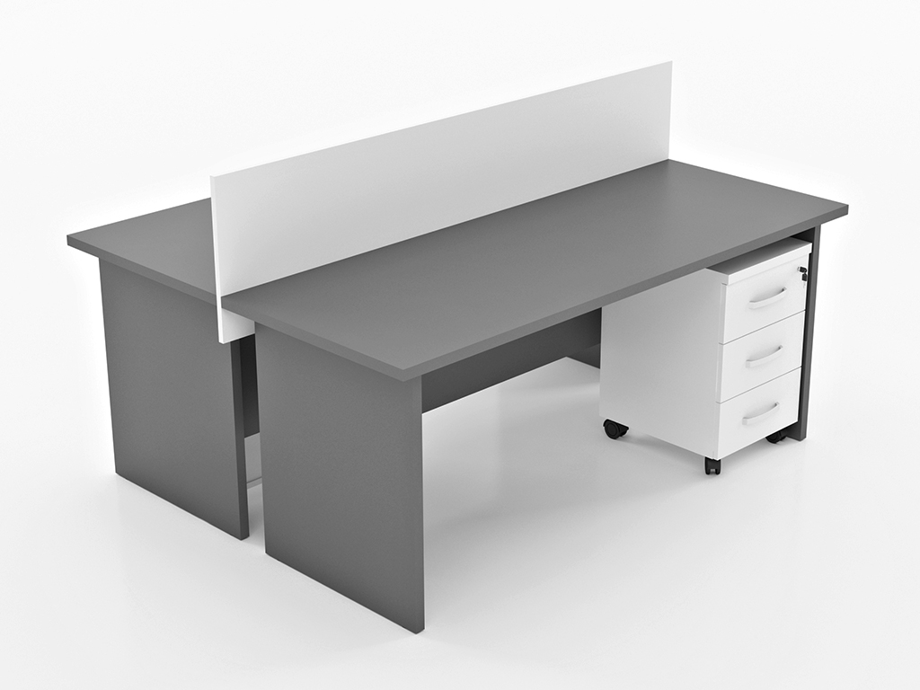 AGENA-2Lİ workstation