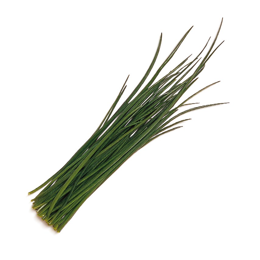 Chives