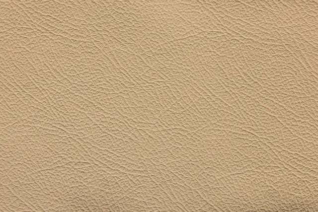 جلد Espada عاجي | 266 (TPX 15-1218) - Uyguner Deri