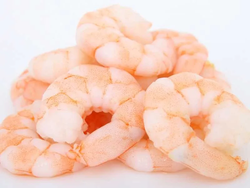 روبيان طازج أو معالج SHRIMP