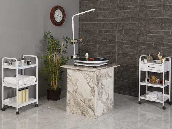 Veterinary Examination and Pet Hairdresser Table | MC-2001