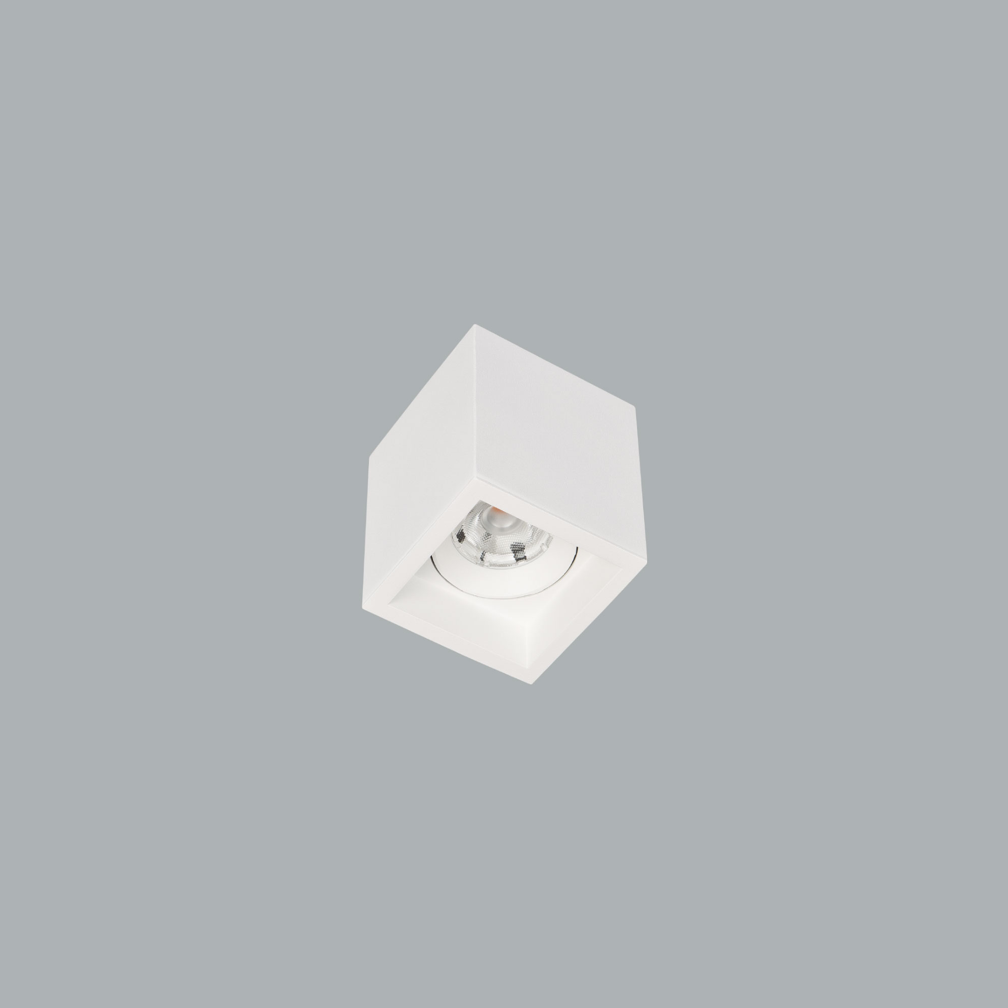 Surface-mounted luminaire Deepress IP Surface