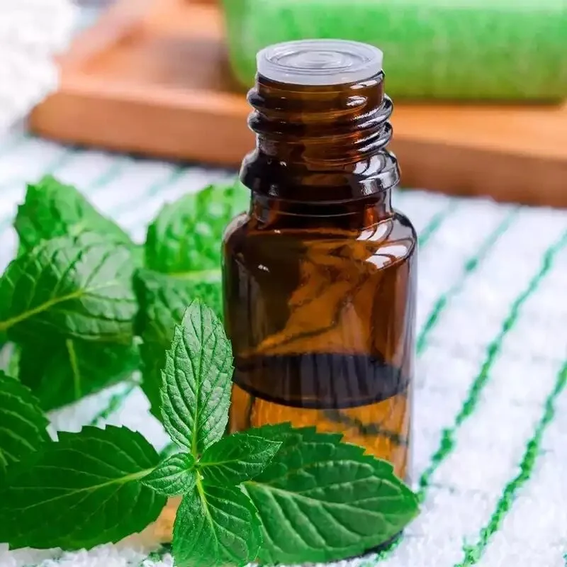 Wild mint oil