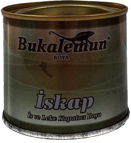 Primer for sooty and stained surfaces İskap