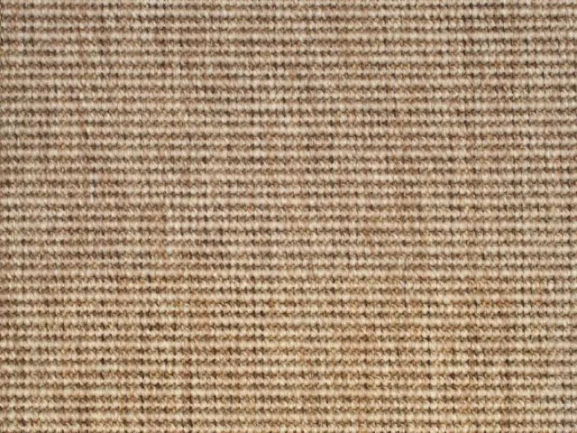 Wall-to-Wall Carpet Rustique 4505-26
