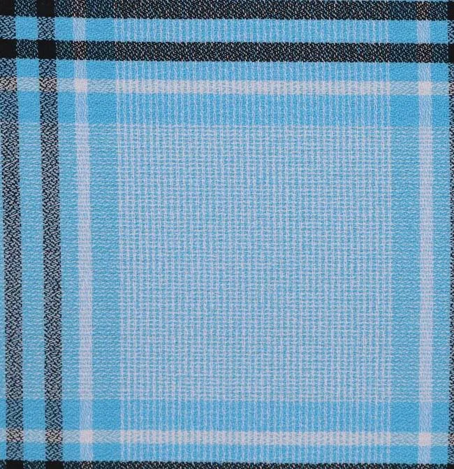 DA.47357/PRESENT 01 fabric