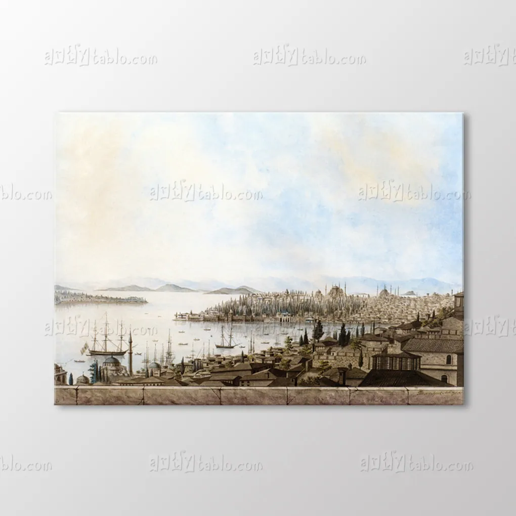 Istanbul view from Galata Tower canvas wall art