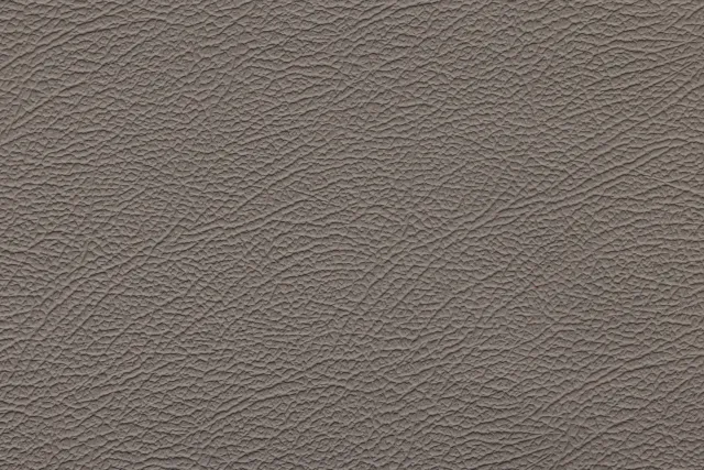 جلد Espada رمادي المطر | 742 (TPX 16-5803) - Uyguner
