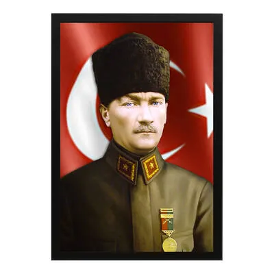Ataturk Cerceveli 16 framed print