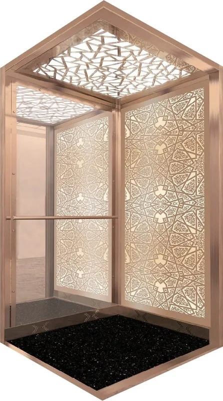 كبينة مصعد ORD209