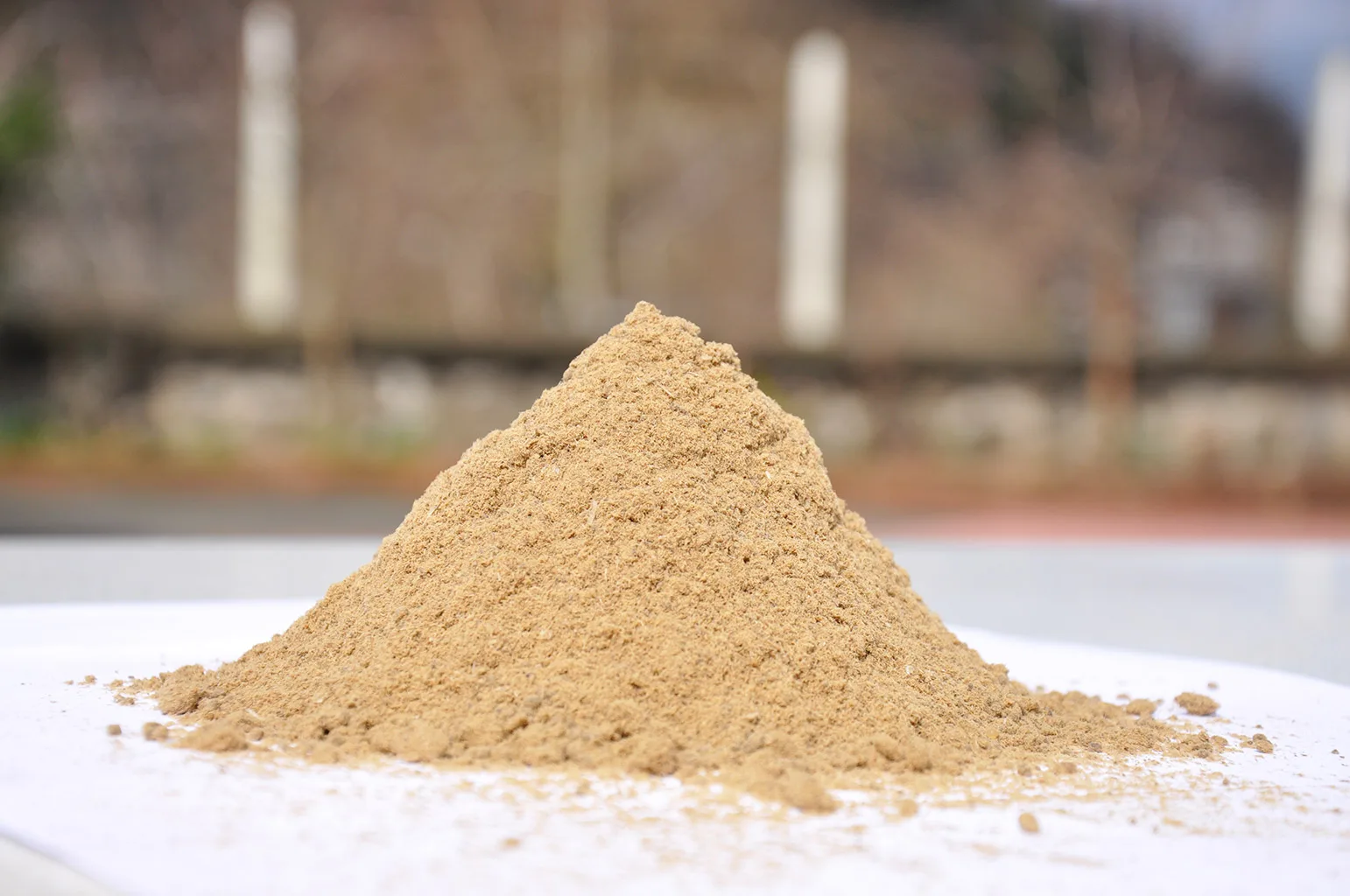 Fish Meal