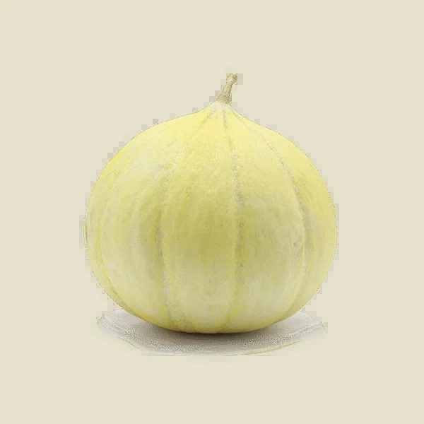 Gonen Melon