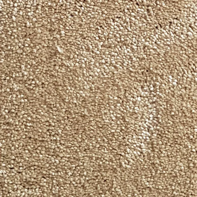 Wall-to-Wall Carpet Magnificus 35