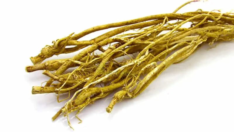 جذر أستراغالوس Astragalus 25 gr