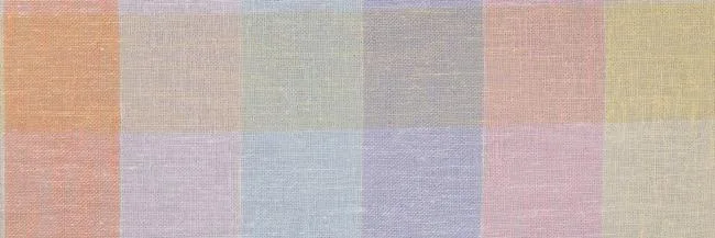 DA.97579/REYNOSA 01 fabric