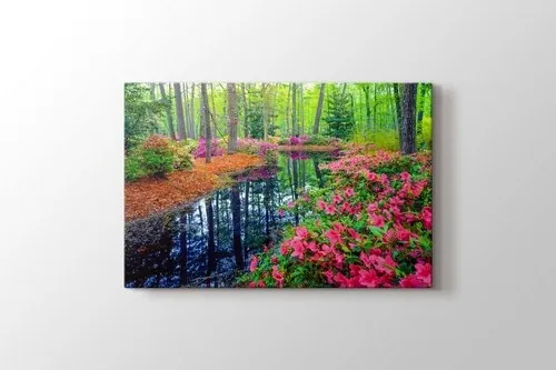 Spring Azalea Blossoms In Southern Woodland Garden canvas wall art