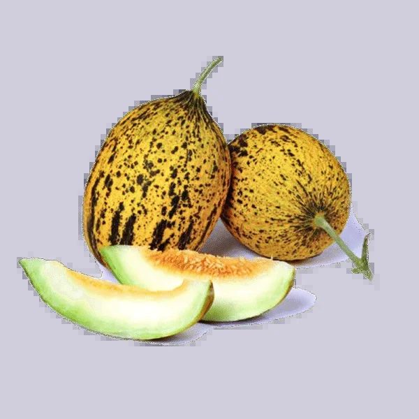 Dalaman Melon