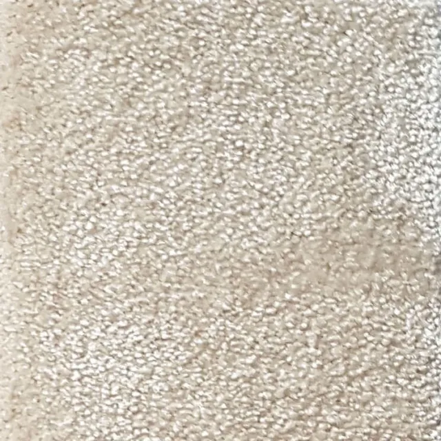 Wall-to-Wall Carpet Obsession 33