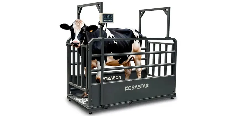 BBH Livestock Scales