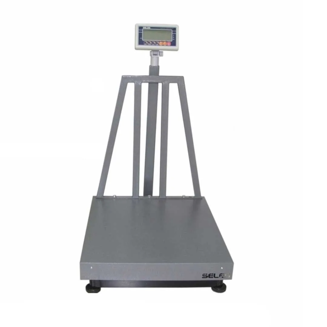 BW platform scale