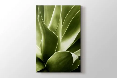Flora canvas wall art