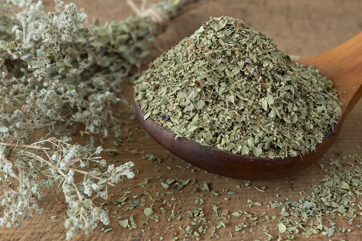 أوريغانو مرتفعات Oregano High Elevation