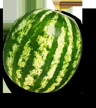 Watermelon