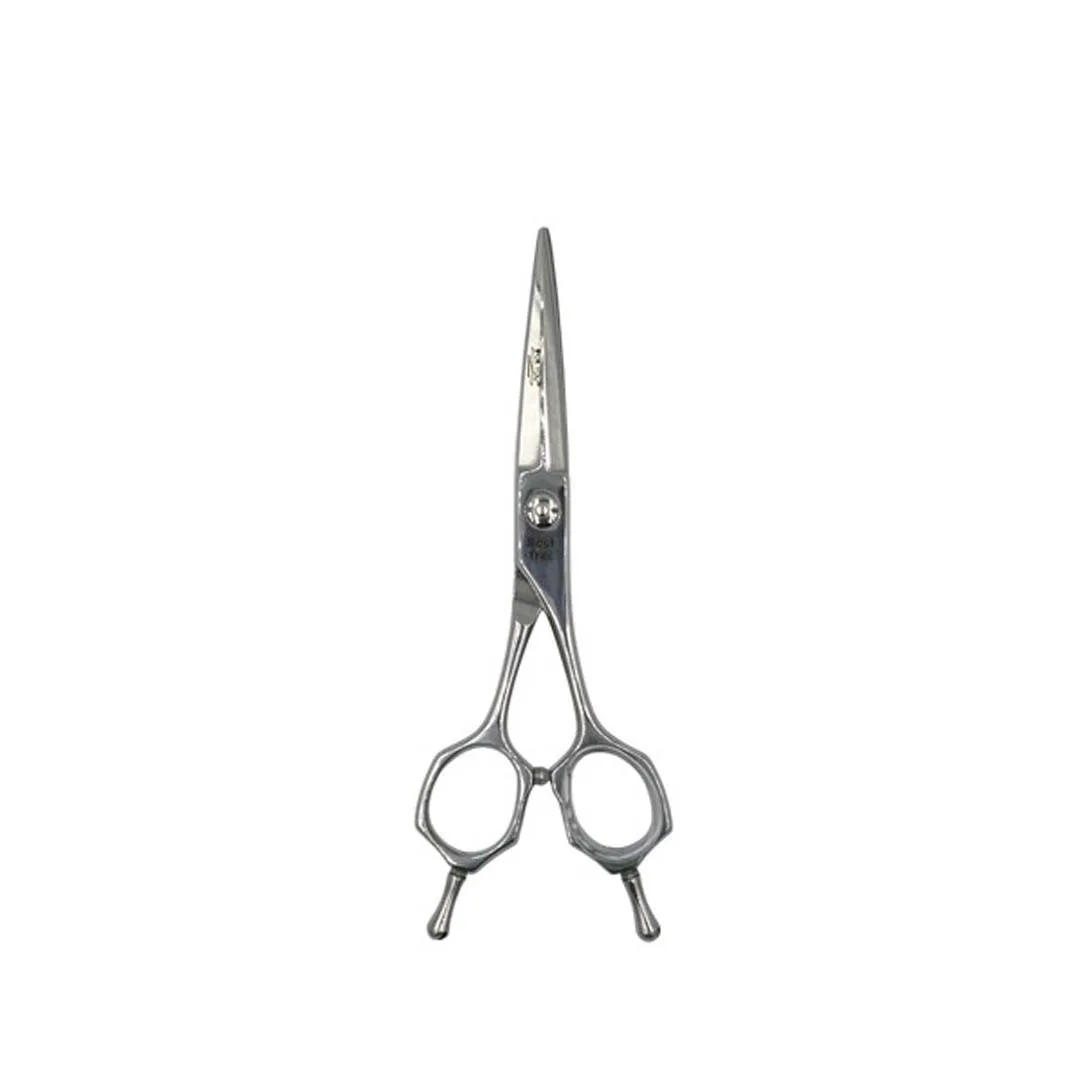 Professional scissors model 213-6.0