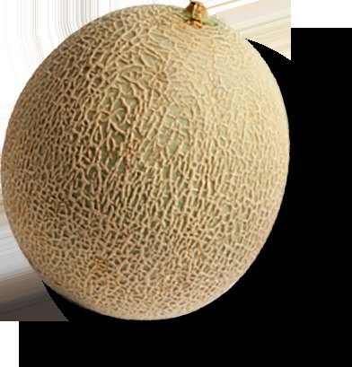 Melon