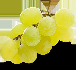 Grape