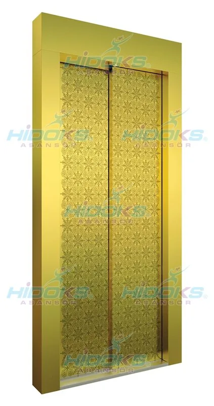باب مصعد أوتوماتيكي HK06