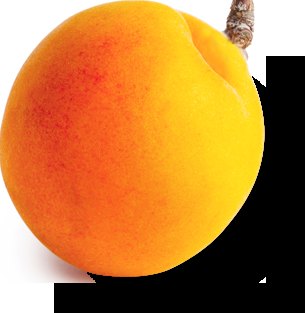 Apricot
