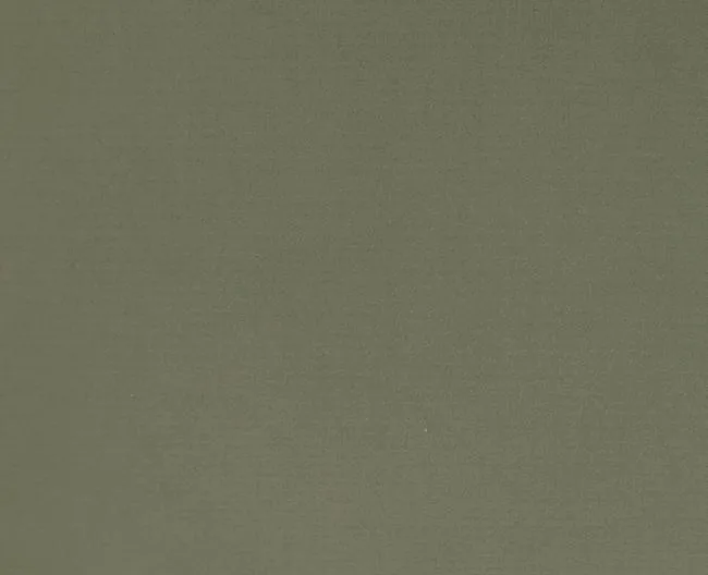DA.43065/FUTURE 01 fabric