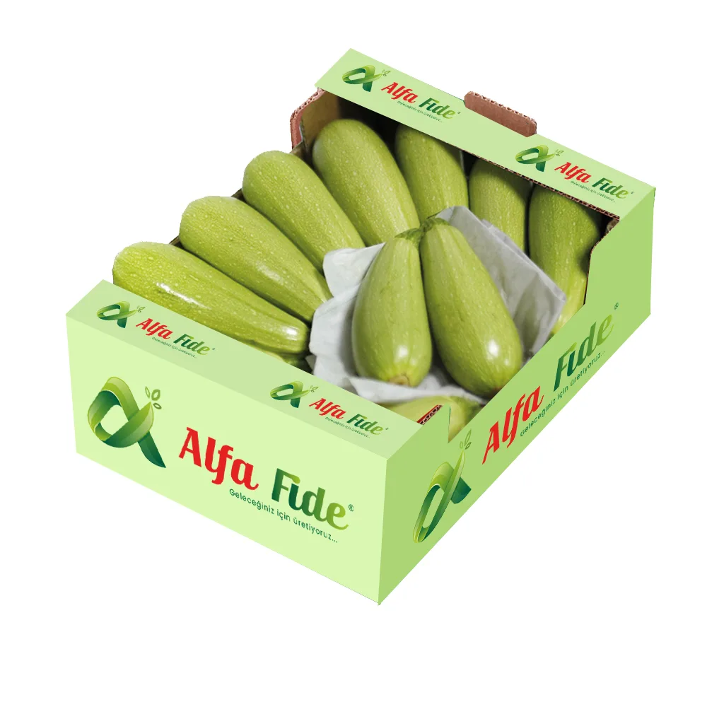 شتلة كوسا بيضاء