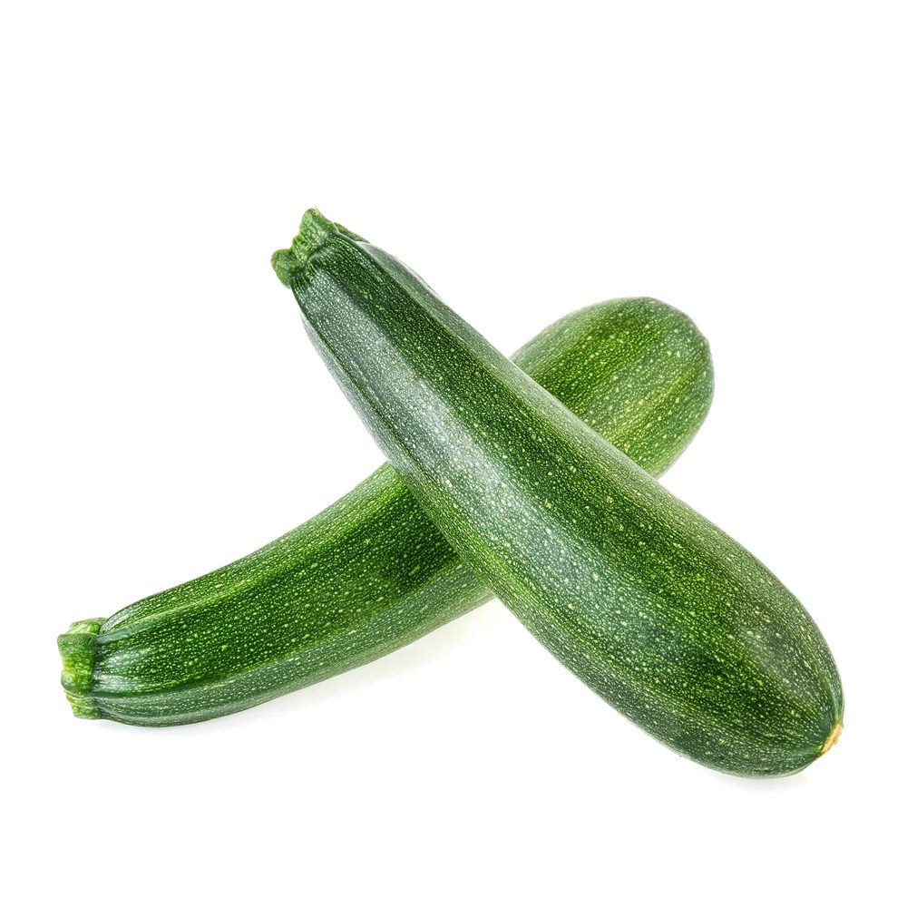 شتلة اليقطين