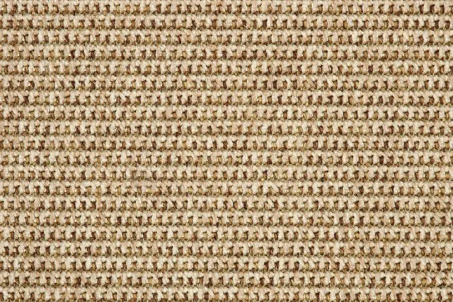 Wall-to-Wall Carpet Rustique 4507-26