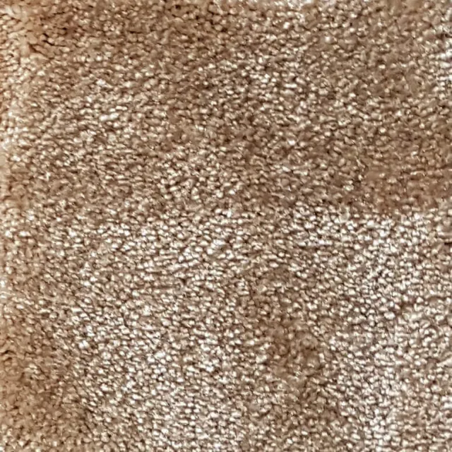 Wall-to-Wall Carpet Obsession 36