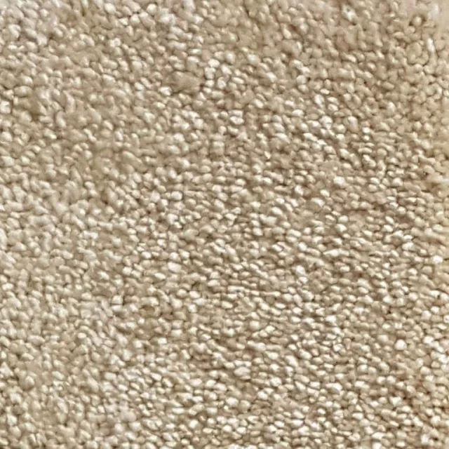 Wall-to-Wall Carpet Magnificus 31